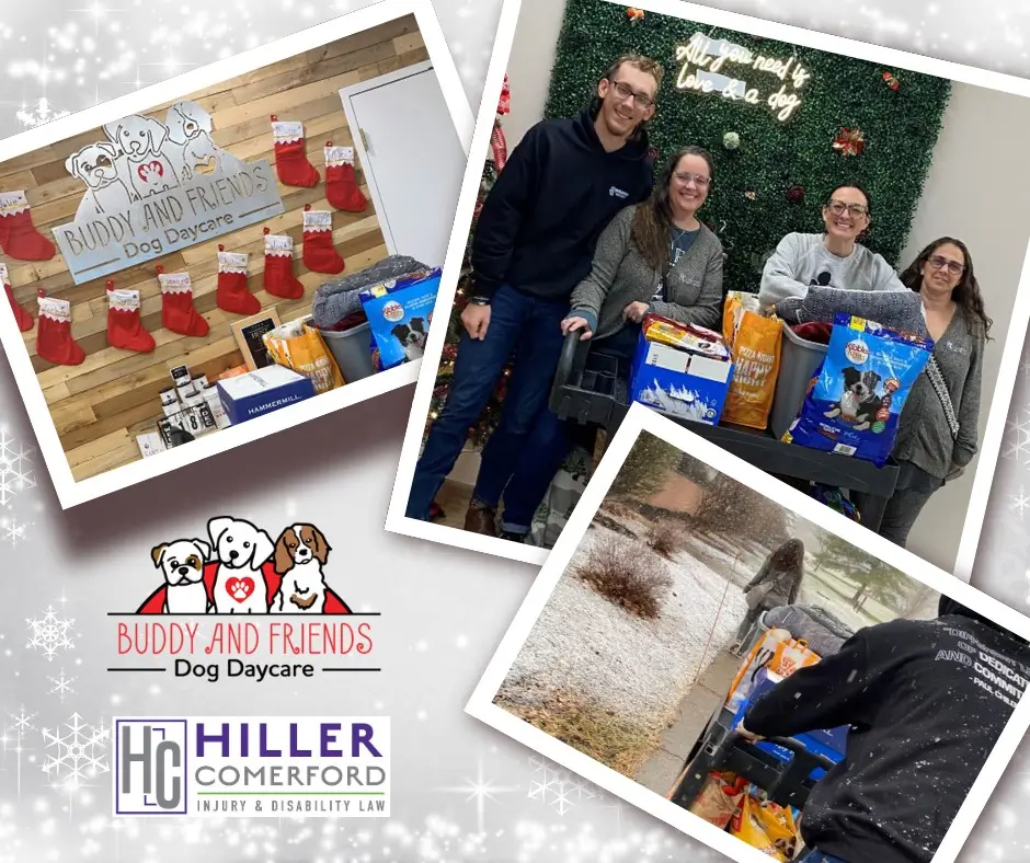 BUDDY AND FRIENDS DOG DAYCARE